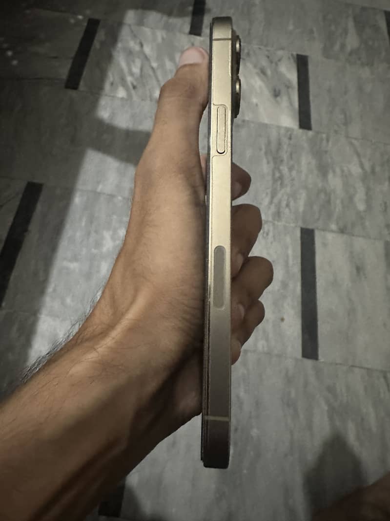 Apple iPhone 13 Pro Max 2