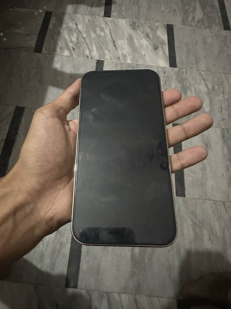 Apple iPhone 13 Pro Max 6
