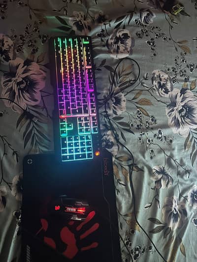 Bloody keyboard or mouse and mouse contact  on whats app 3153112310