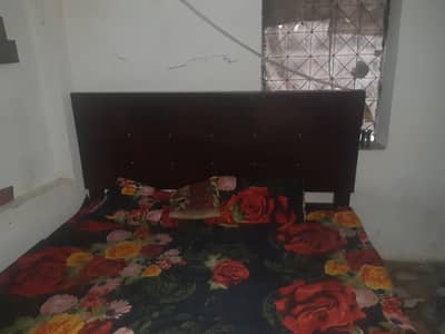 New bed hai only bed hai hai bus