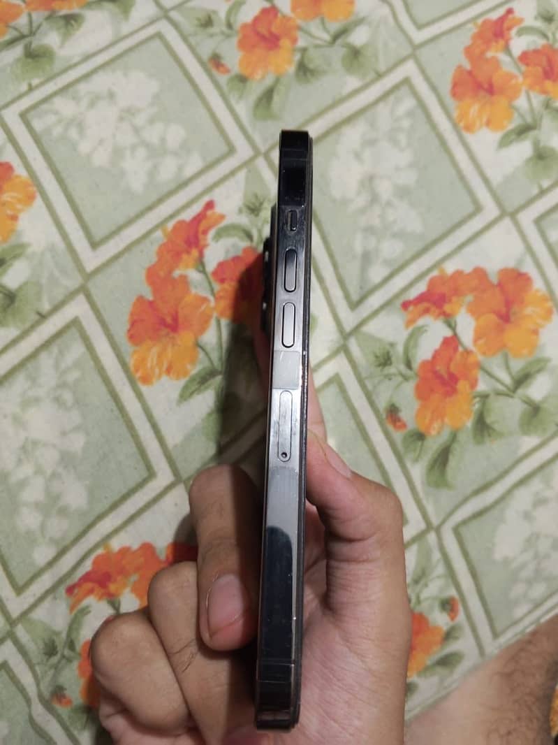 Apple iPhone 13 Pro 3