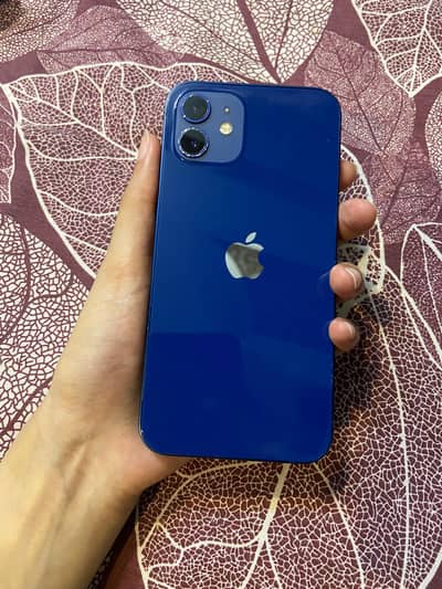 Apple iPhone 12