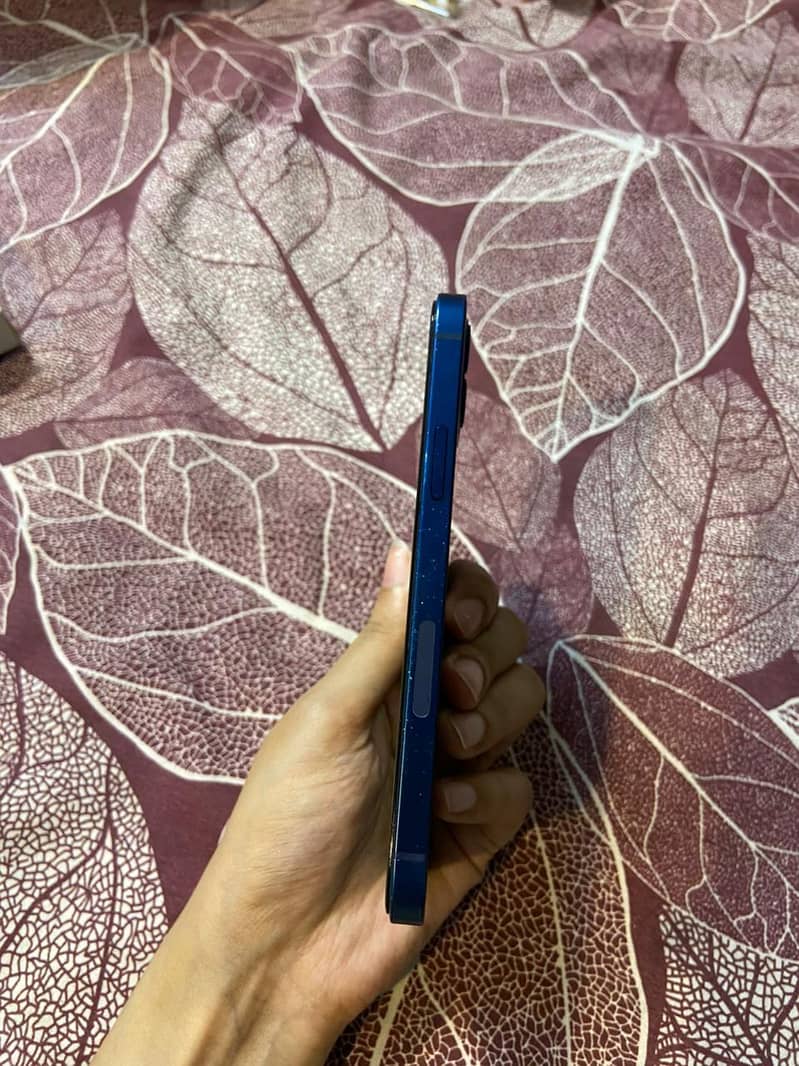 Apple iPhone 12 1
