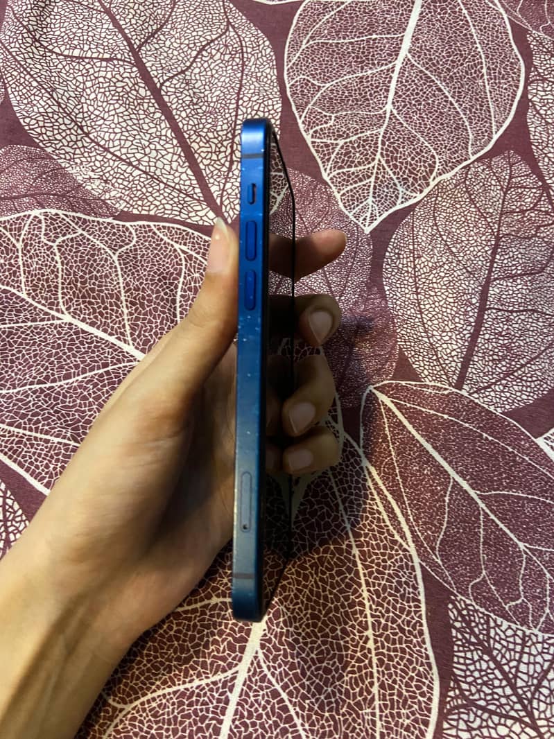 Apple iPhone 12 3