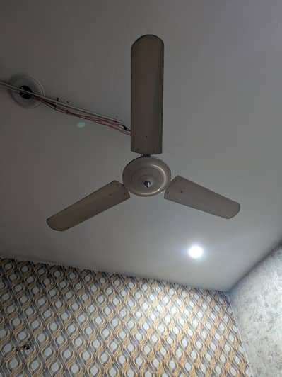 Unique fan