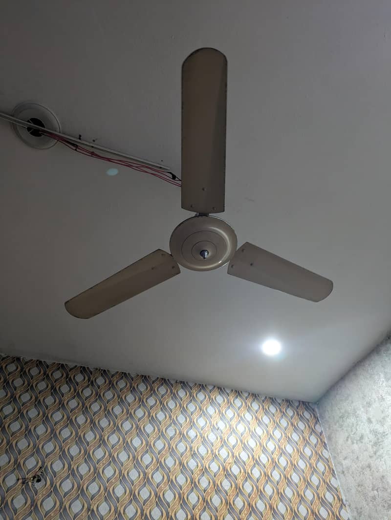 Unique fan 0