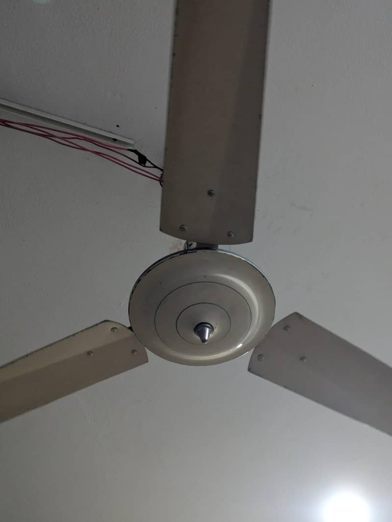 Unique fan 1