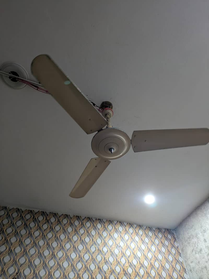 Unique fan 2