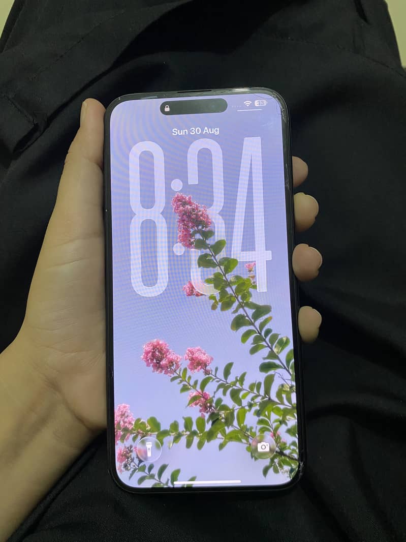 Apple iPhone 15 Pro Max 2