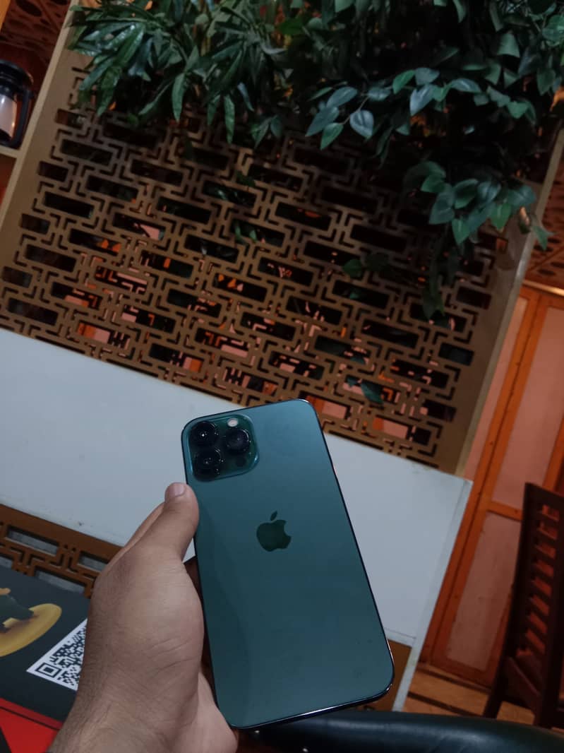 Apple iPhone 13 Pro Max 0