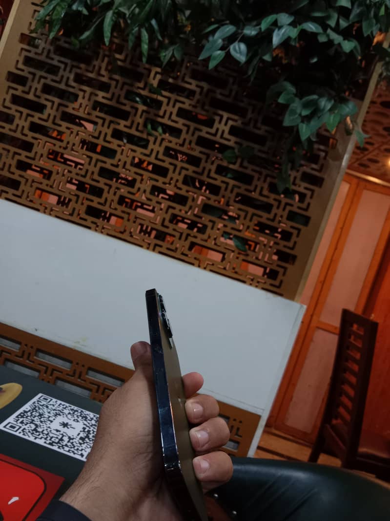 Apple iPhone 13 Pro Max 1