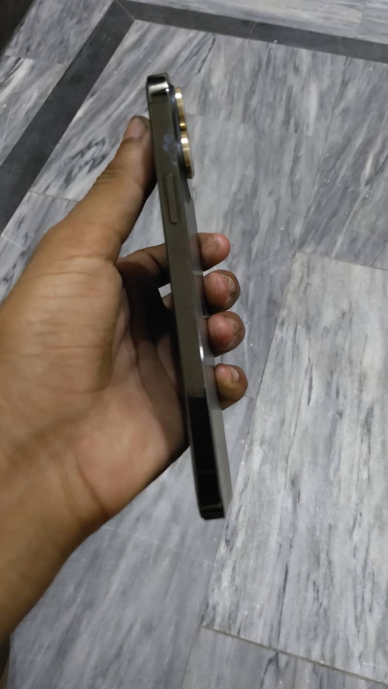 Apple iPhone 13 Pro Max 2