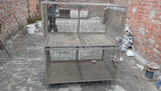 Cages birds or hen