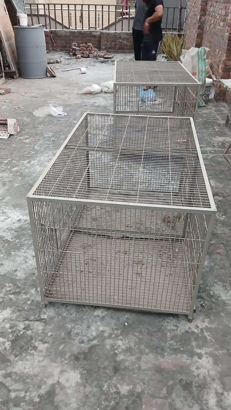Cages birds or hen — photo 3