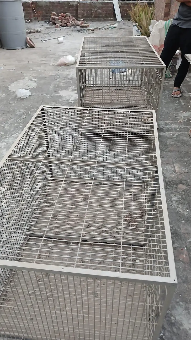 Cages birds or hen — photo 4