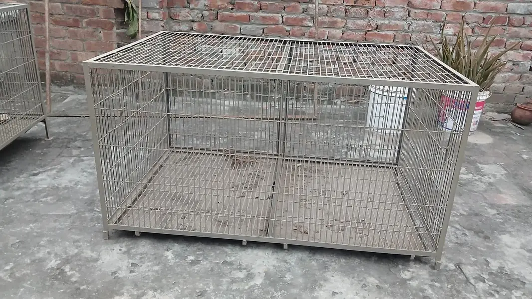 Cages birds or hen — photo 5