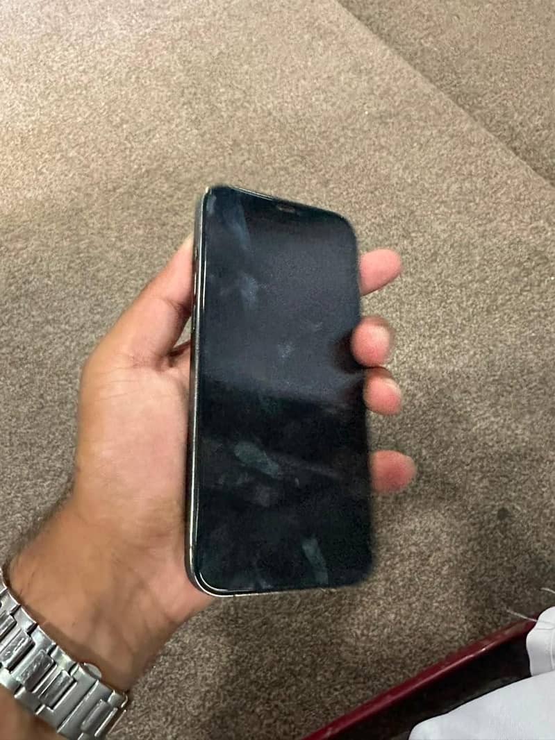 Apple iPhone 12 Pro Max 1