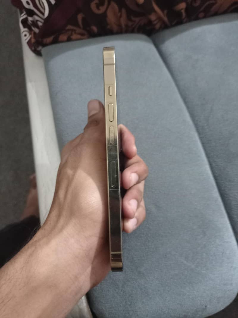 Apple iPhone 13 Pro 1