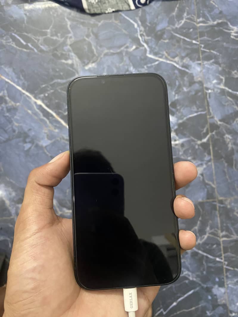 Apple iPhone 13 0