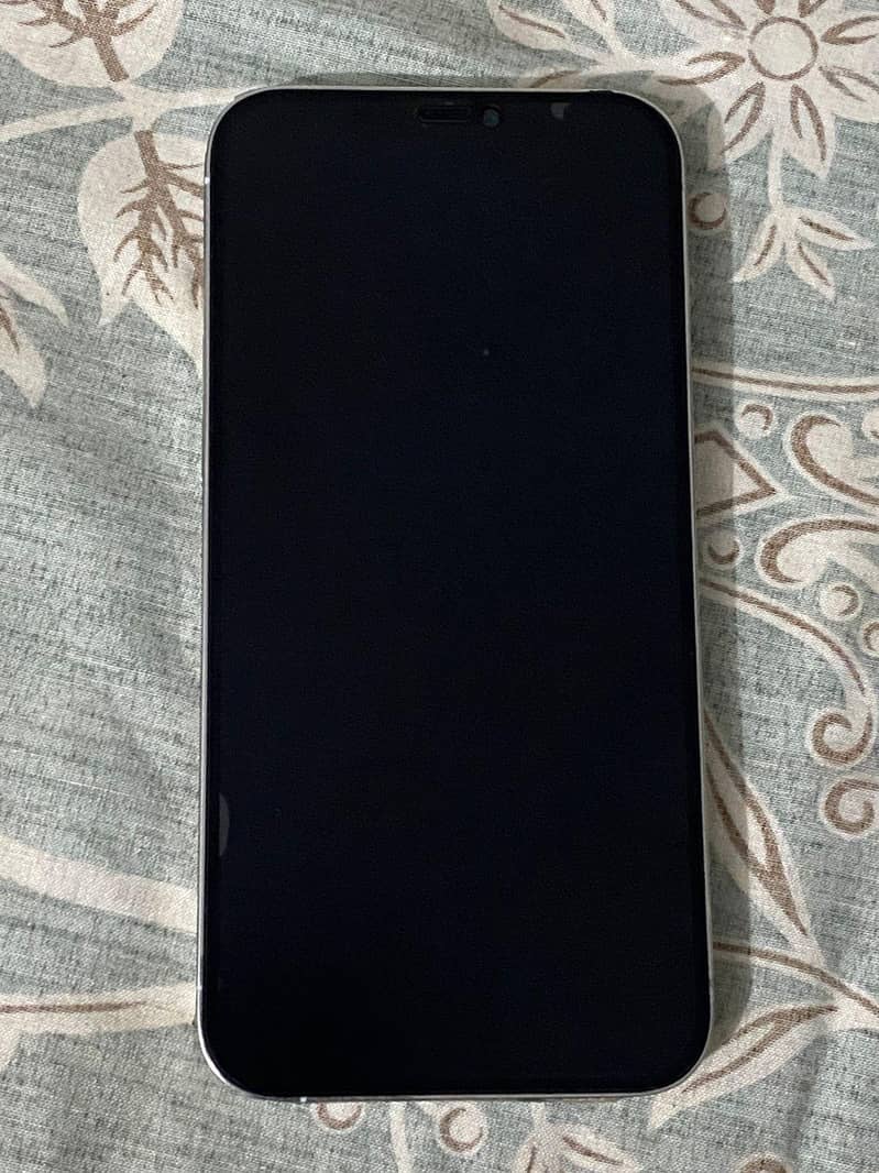 Apple iPhone 12 Pro Max 1