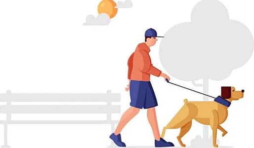 Dogs walking service ‍