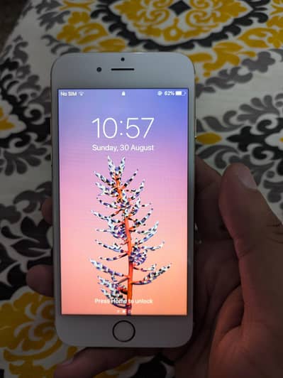 iphone 6 pta