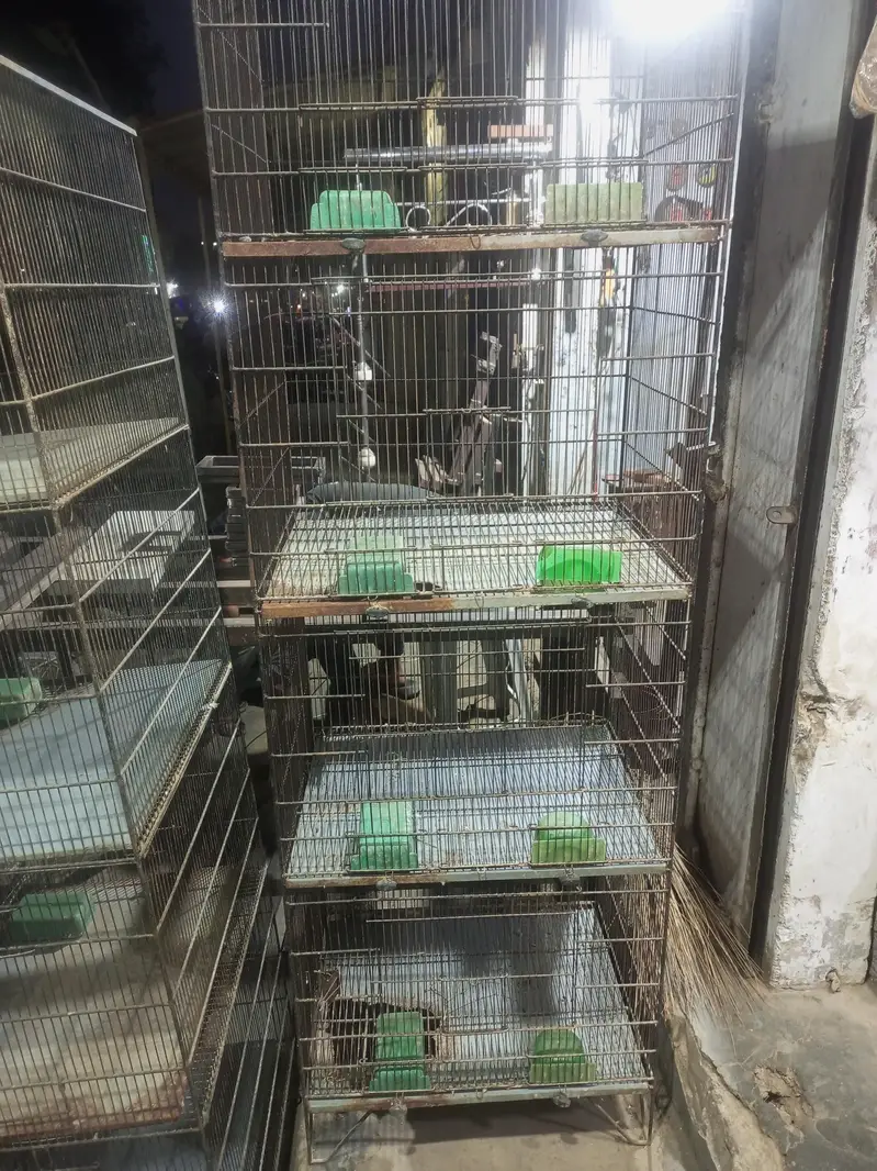 urgent sale — photo 2
