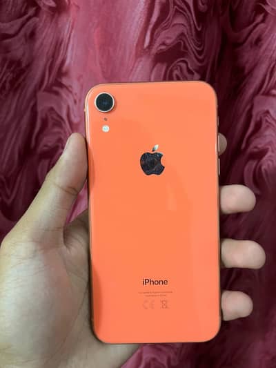 Apple iPhone XR PTA Approved
