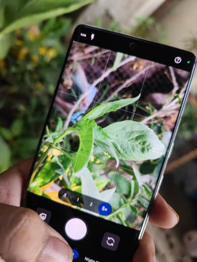 Google Pixel 7 Pro