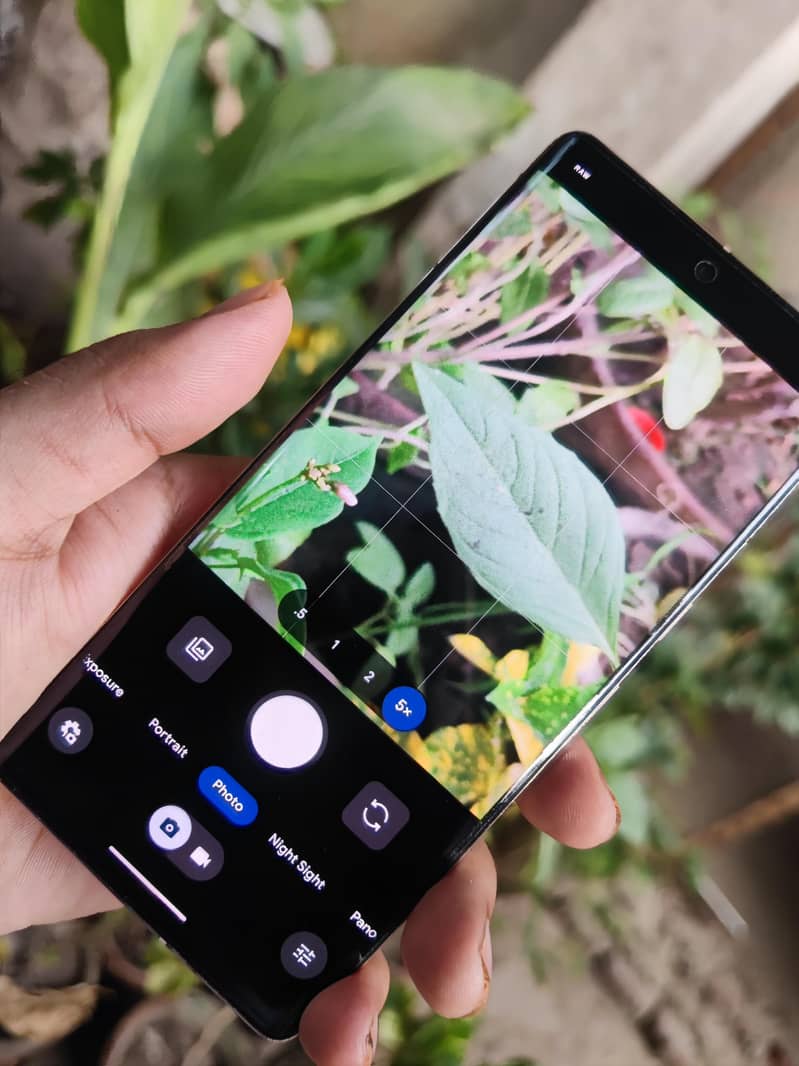 Google Pixel 7 Pro 1