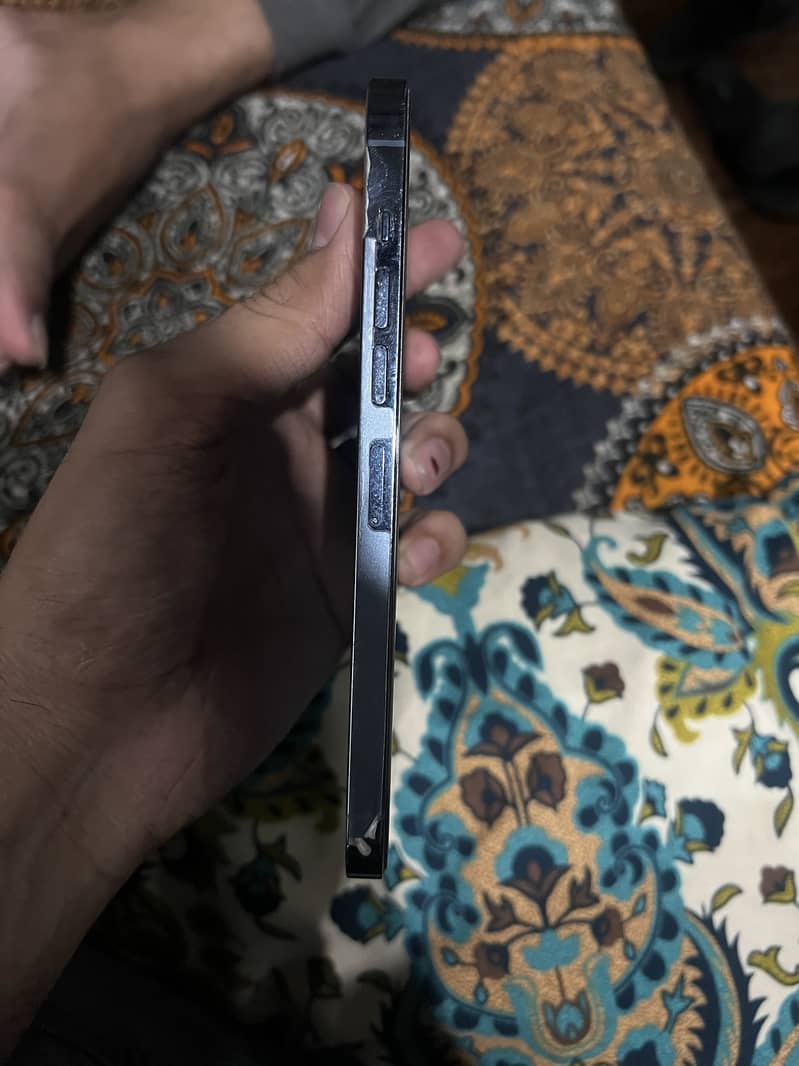 Apple iPhone 13 Pro Max 2