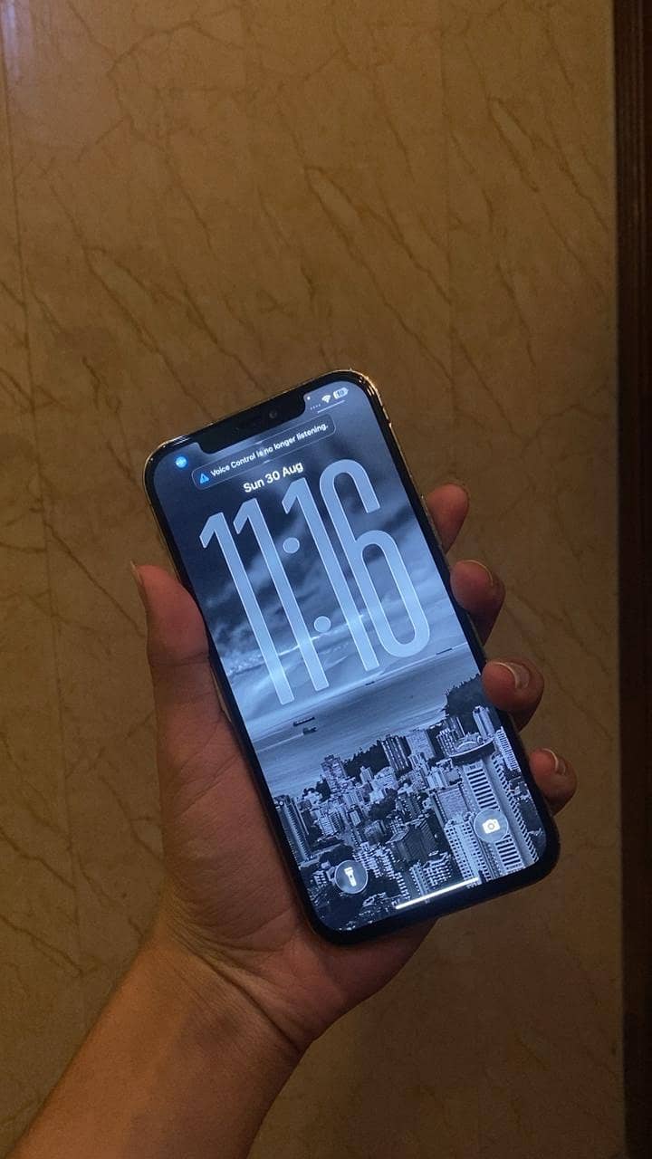 Apple iPhone 12 Pro Max 1