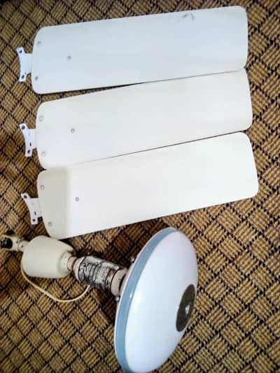 Ceiling fans