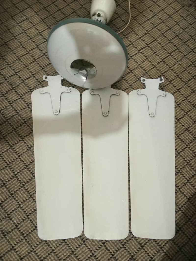 Ceiling fans 3
