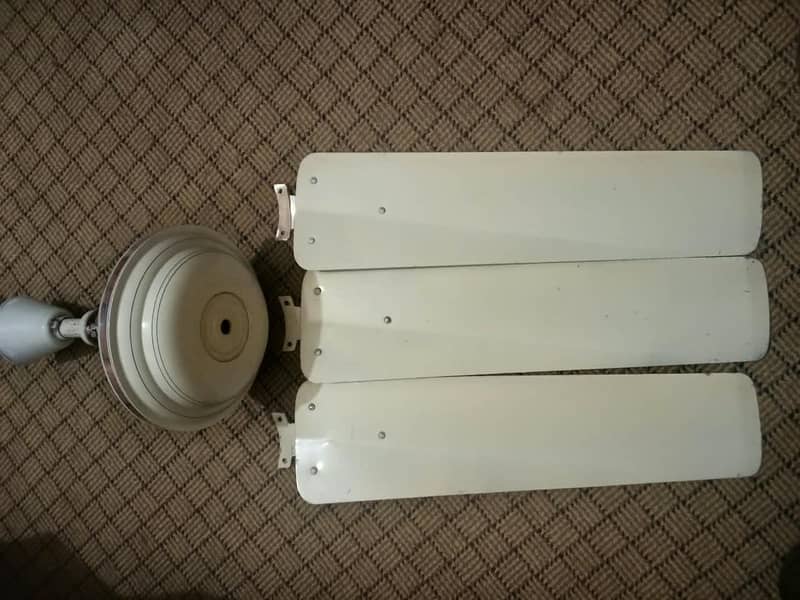Ceiling fans 6