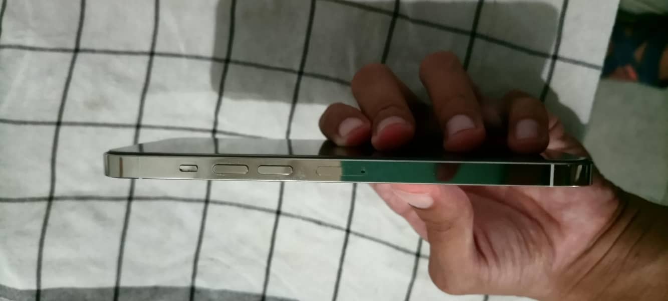 Apple iPhone 13 Pro Max 1