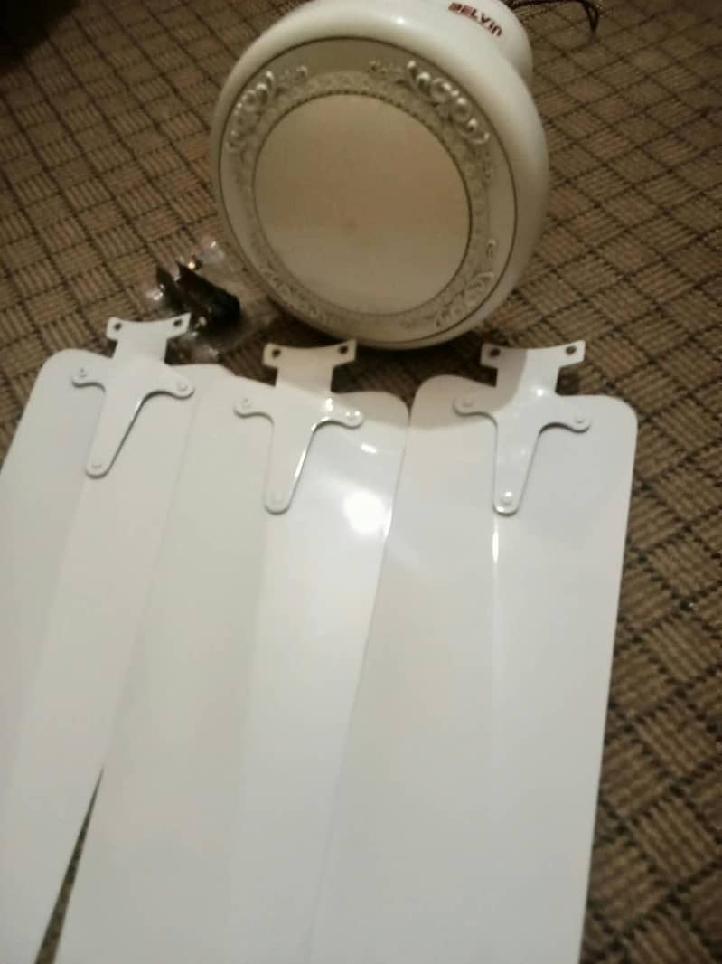 Ceiling fans 10