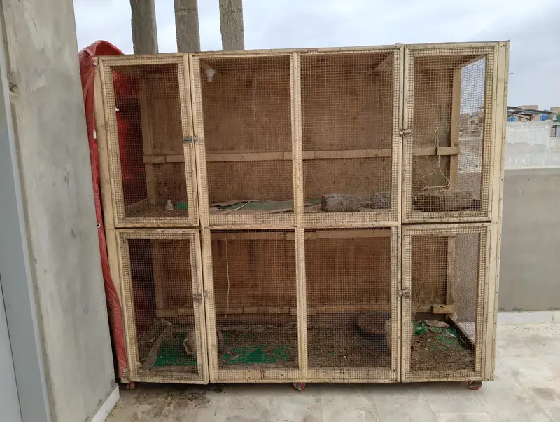 pinjra for sale — photo 2