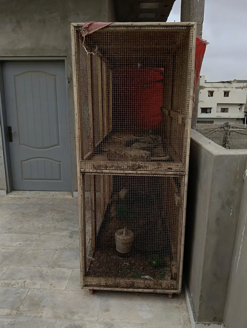 pinjra for sale — photo 4