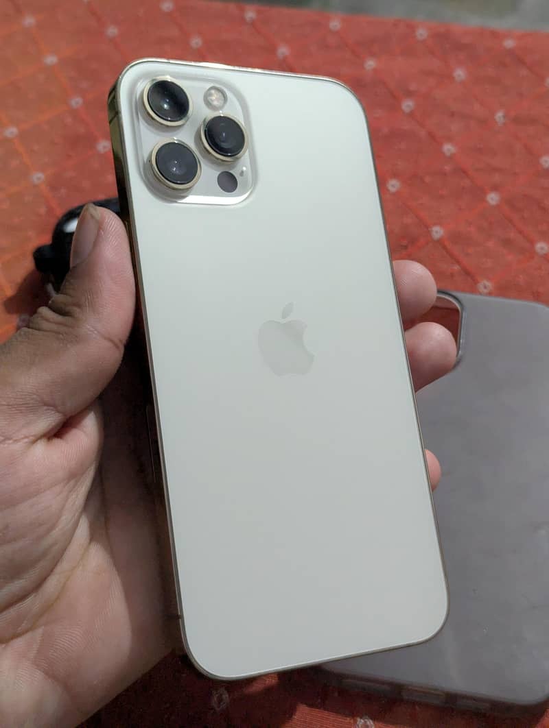 Apple iPhone 12 Pro Max 1