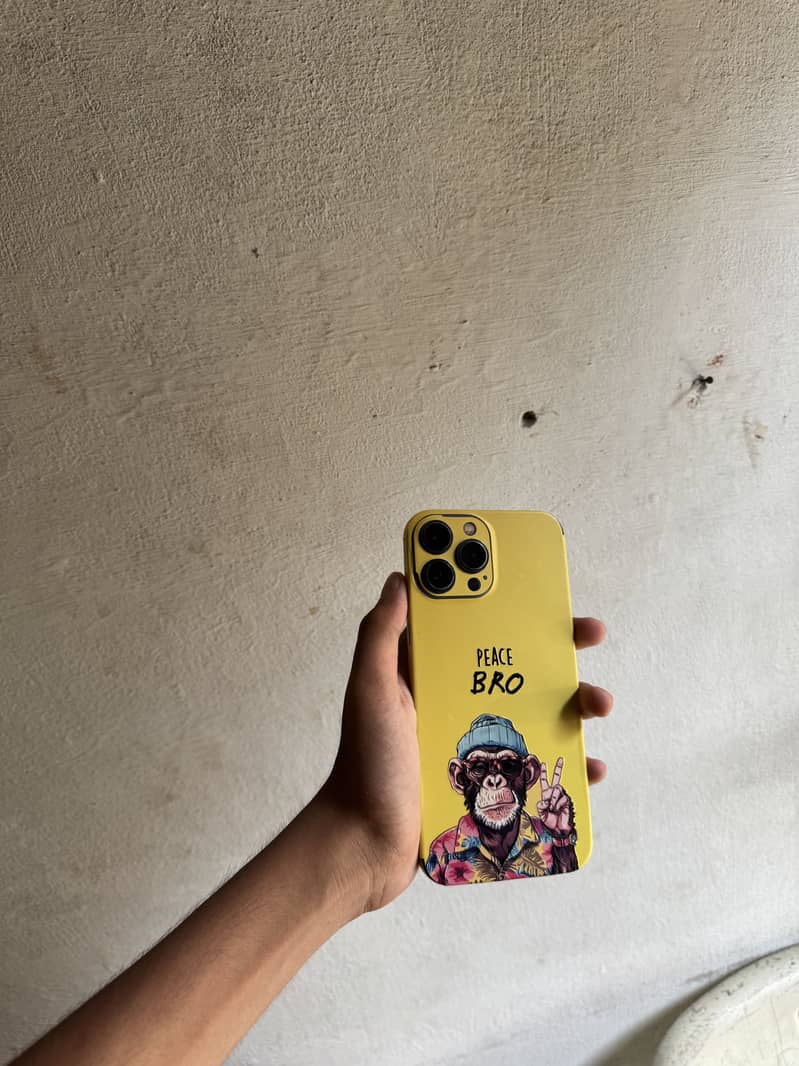 Apple iPhone 13 Pro Max 0