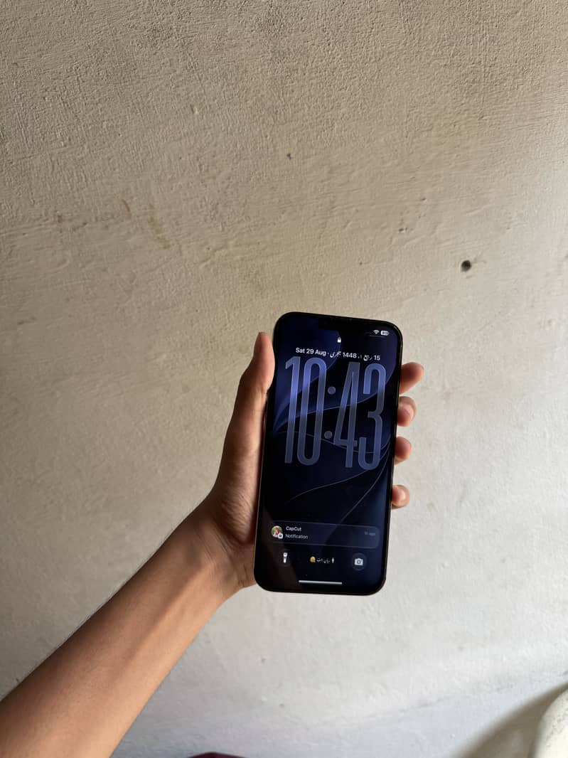 Apple iPhone 13 Pro Max 3