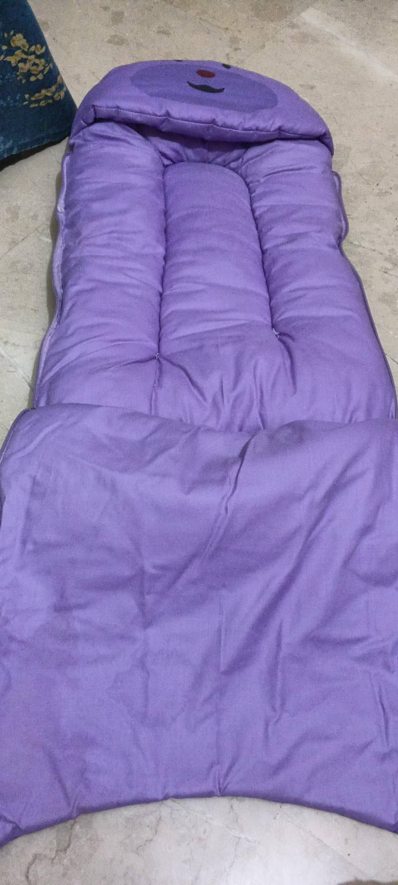 purple carrycot 2