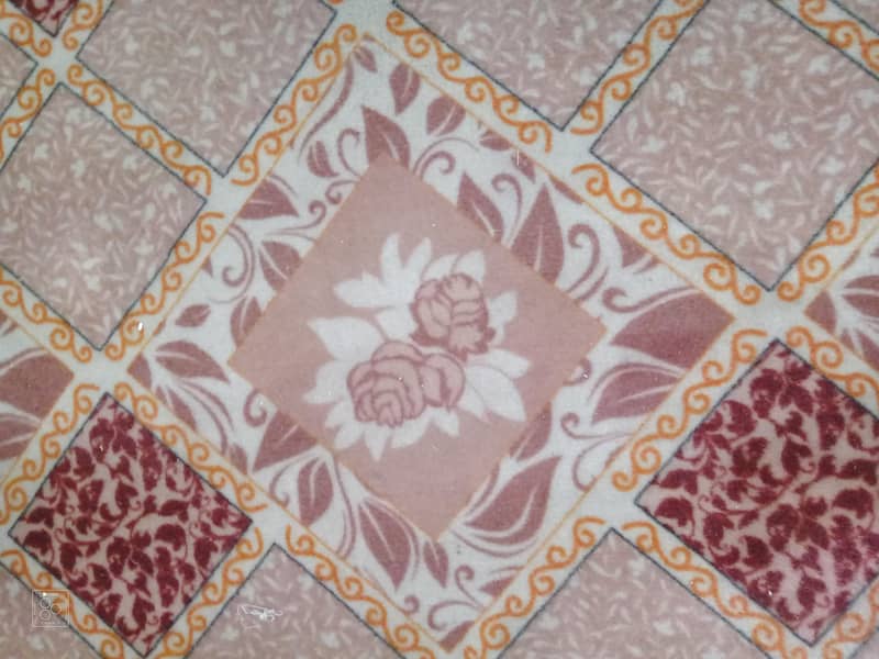 carpet 1