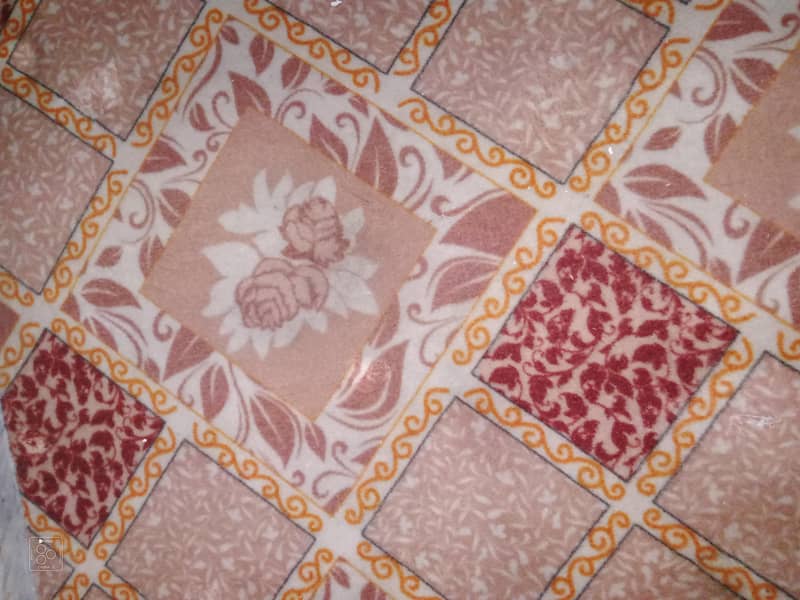 carpet 2
