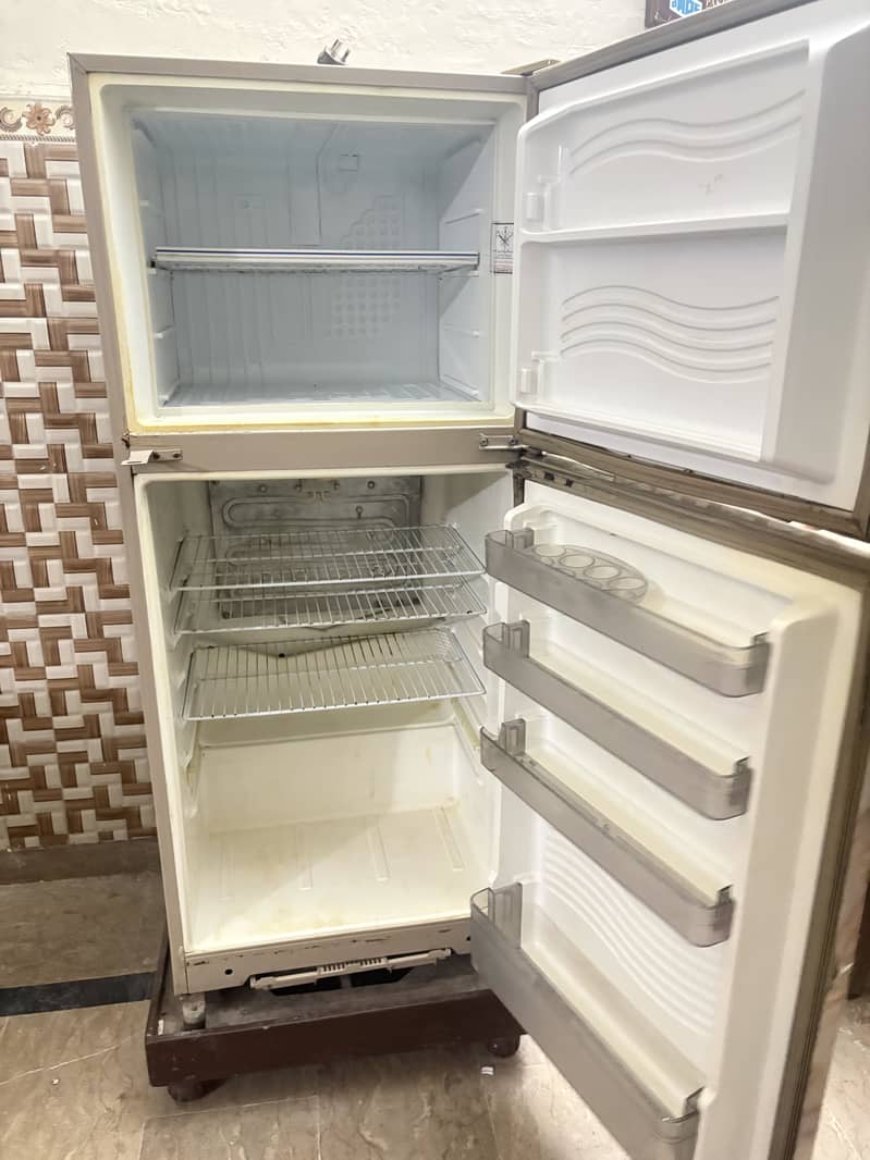 Fridge 1