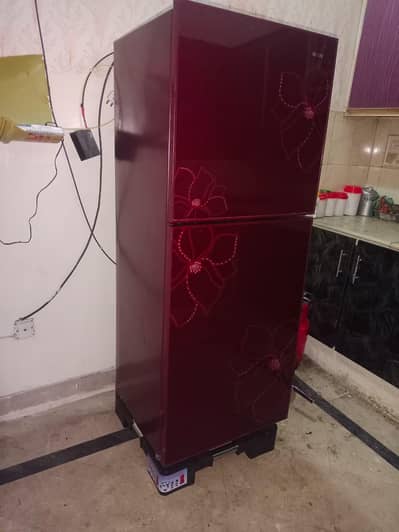 Orient Glass Door Refrigerator