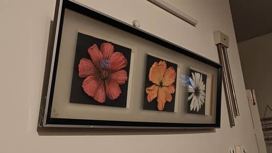 3d Wall hangings