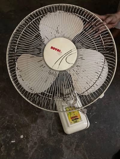Royal wall fan