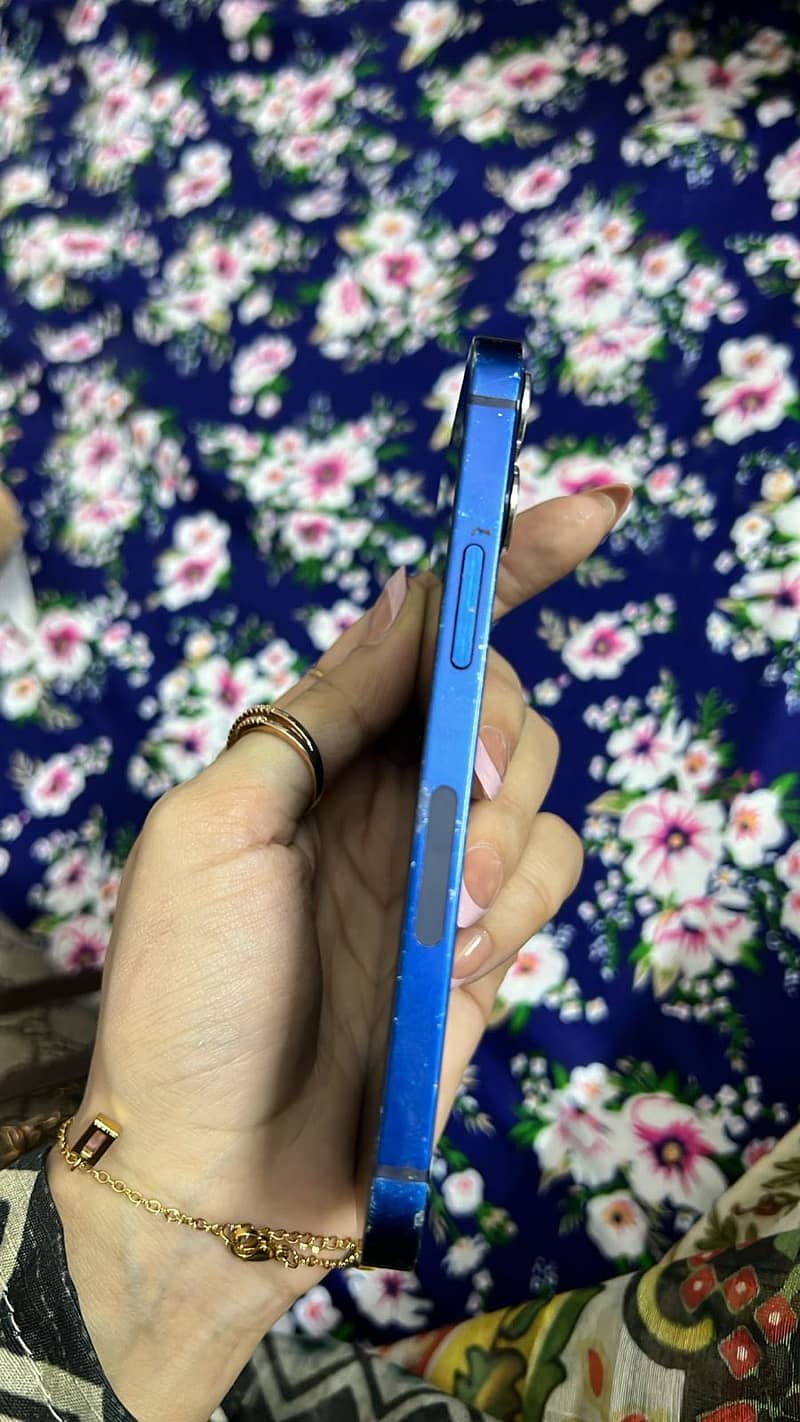 Apple iPhone 12 mini 1